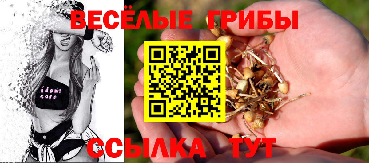 Семёнов  Псилоцибиновые грибы MAGIC MUSHROOMS  Галлюциногенные грибы мухоморы  Вход с VPN 