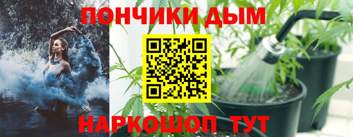 Канабис Ganja  Вход с VPN  Бошки Шишки Ganja  Семёнов  Марихуана семена  Шишки марихуана семена 